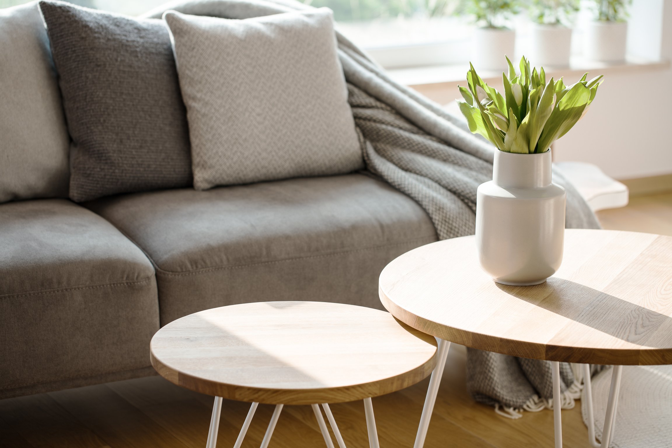 Natural grey living room interior